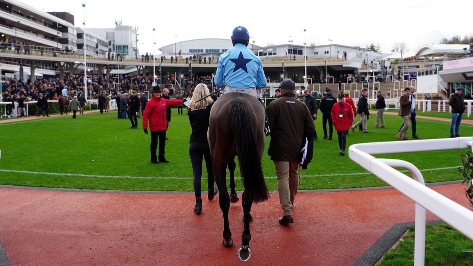 Which November Meeting also-rans should make an impact later in the year?