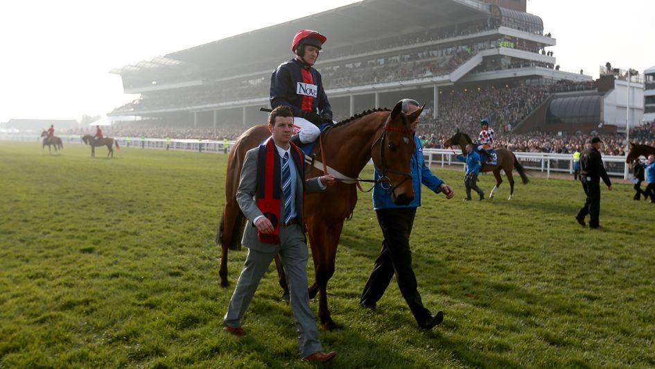 Bobs Worth and Barry Geraghty go to post for the Gold Cup