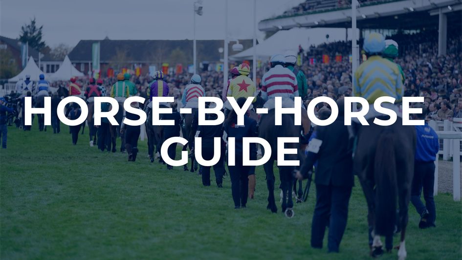 We look ahead to Saturday's feature handicap at Cheltenham