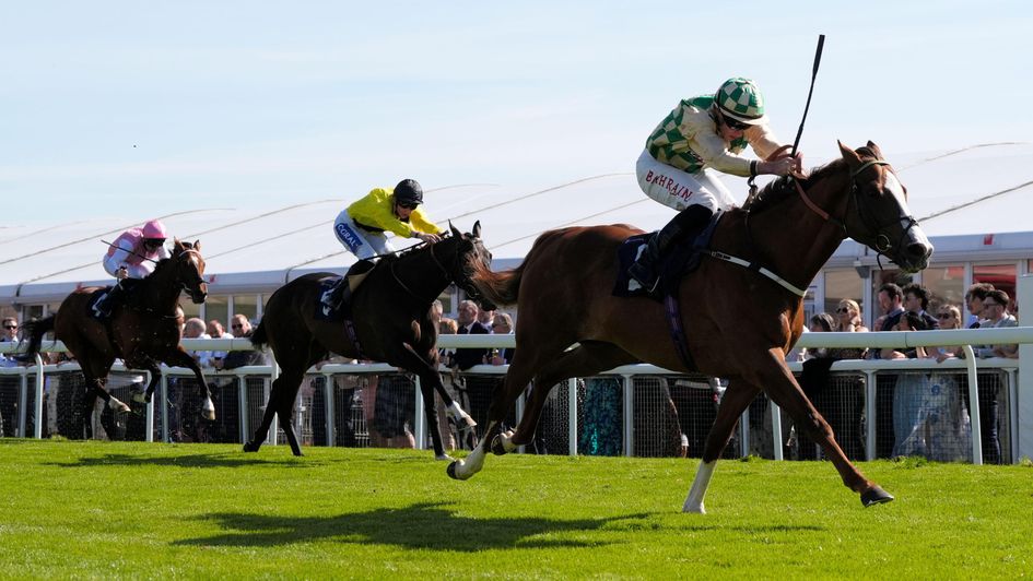 Daiquiri Bay draws clear at Chester