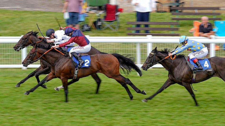 Johan (near side) gets on top close home