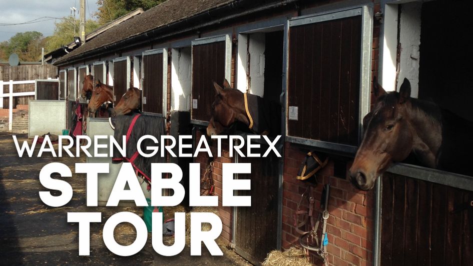 A view of the horses at Uplands