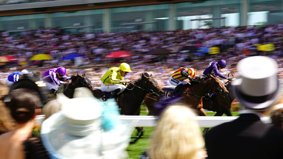 Perfect Power wins the Commonwealth Cup