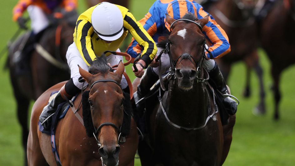 Big Orange and Order Of St George do battle at Royal Ascot