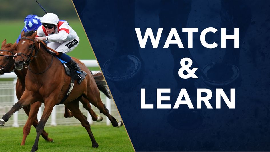 Snowalot impressed this week