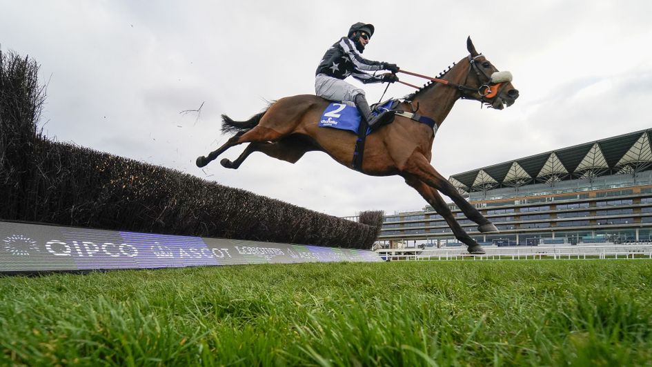 Imperial Aura - brilliant at Ascot