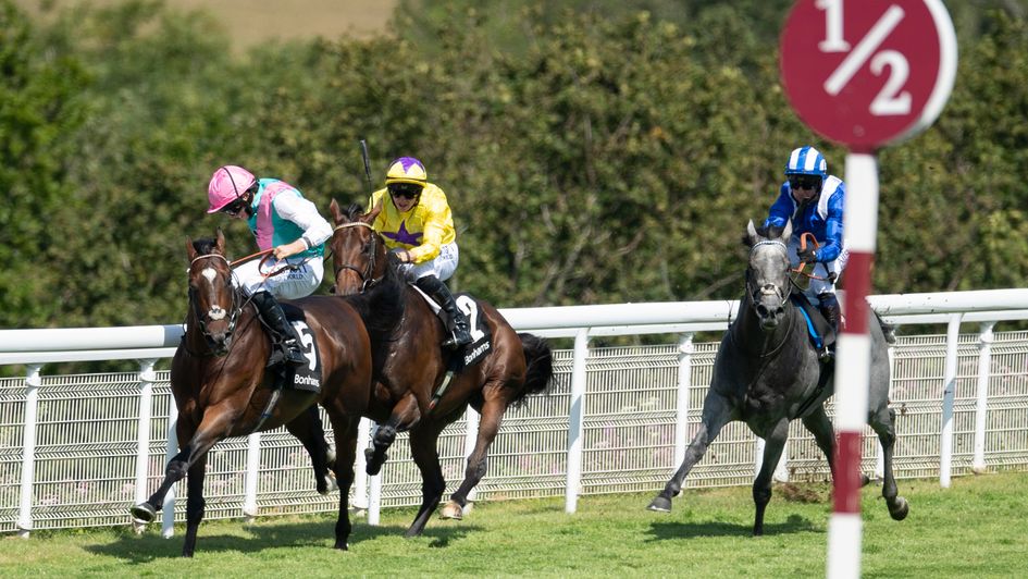 Tilsit won Goodwood's Bonhams Thoroughbred Stakes after veering right in the closing stages