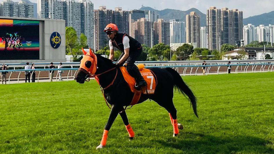 The impressively-clad Jantar Mantar limbers up for the FWD Champions Mile at Sha Tin