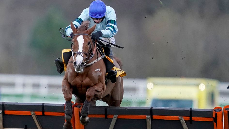 Not So Sleepy wins at Ascot... again