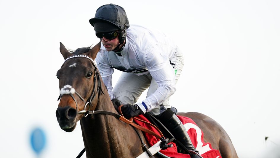 Its all so easy for Constitution Hill