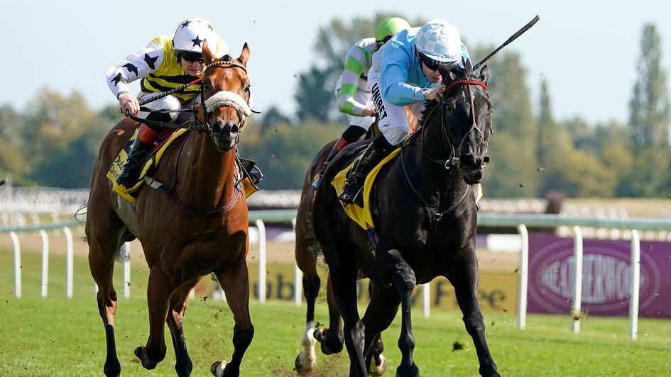 Maid In India (right) gets the better of Dakota Gold at Newbury