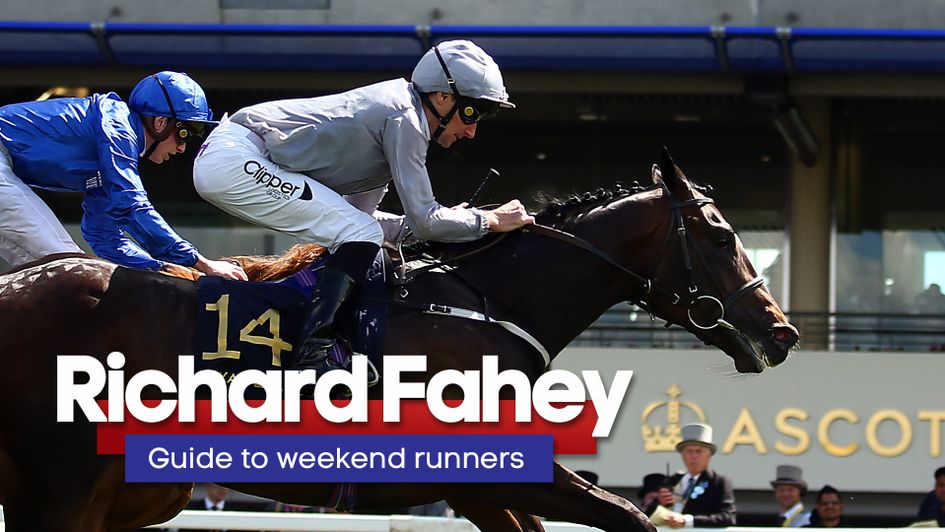Check out Richard Fahey's thoughts