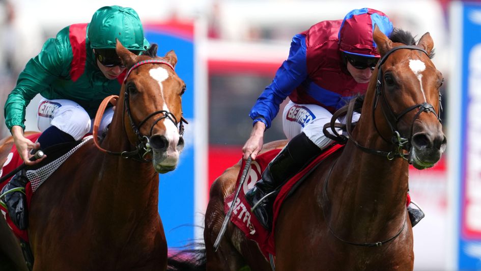 Jan Brueghel and Calandagan - set to clash again