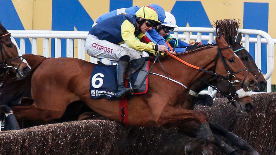 The Storyteller jumps to victory at Cheltenham