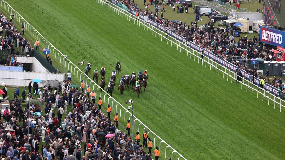 The runners charge for home in the Epsom Dash