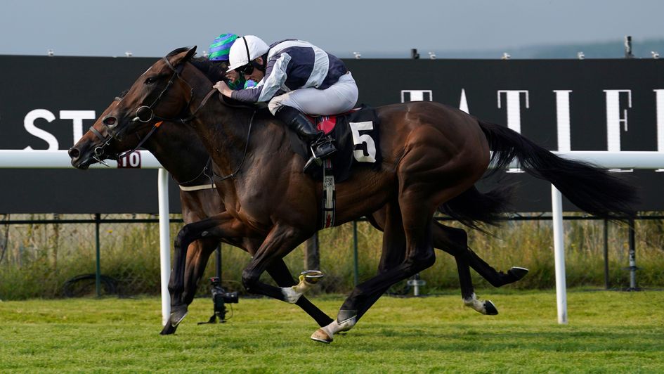 Dreamy makes a winning debut at Goodwood