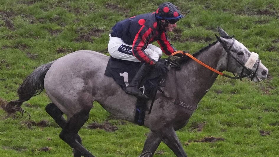 A Likeable Rogue wins under Brian Hughes