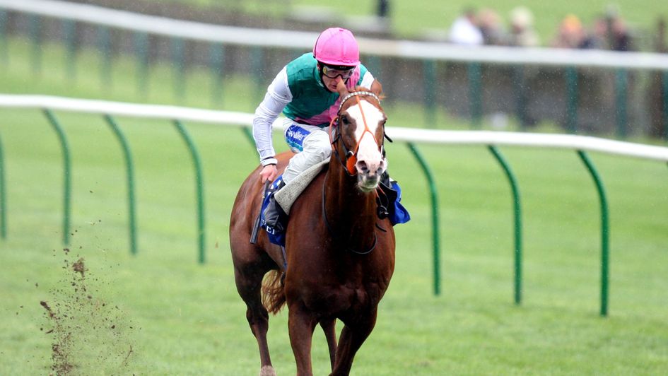 Cityscape wins the Joel Stakes