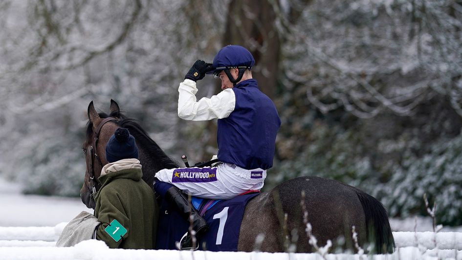 Huberts Dream - won again