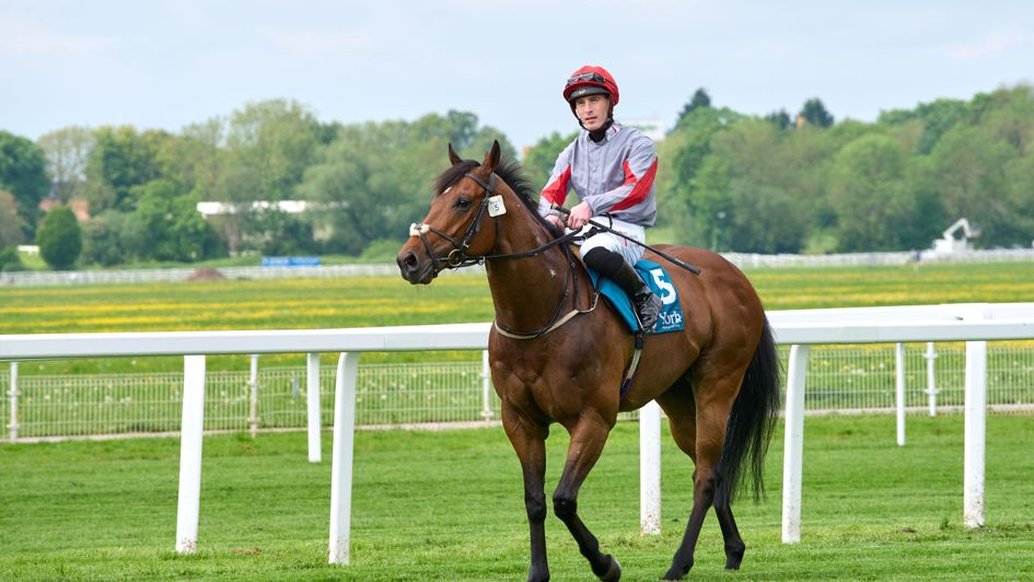 Rowan Scott and Squealer at York