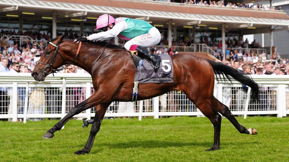 Jonquil runs away with the Greenham