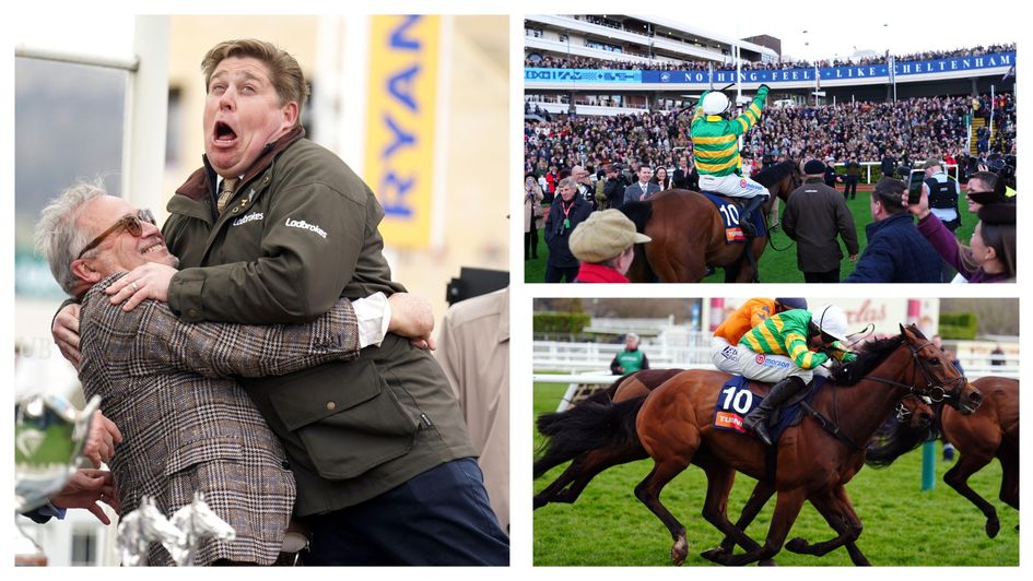 The New Lion: The new big thing?