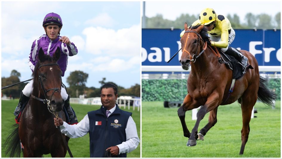 Delacroix and Rosallion will love the ground at Ascot