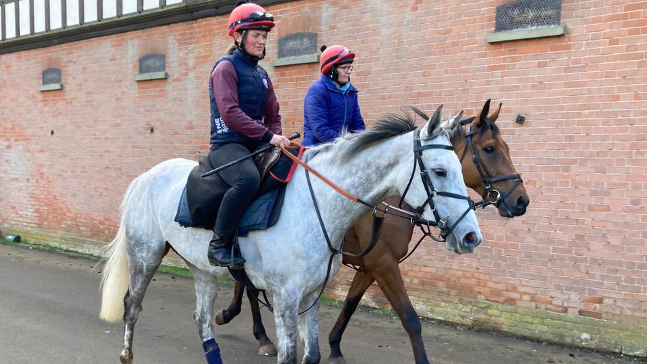 Polly Gunn riding Martello Sky ahead of Cheltenham