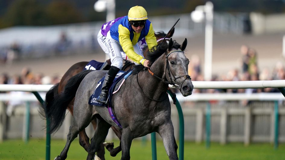 Amichi justifies 5/2 favouritism at Newmarket