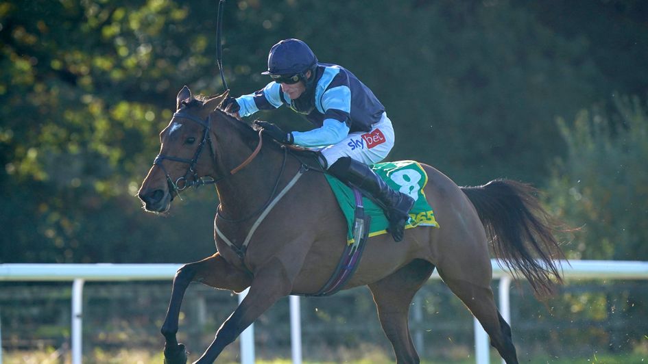 Indefatigable wins for Daryl Jacob