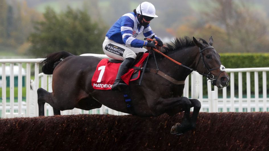 Frodon wins at Cheltenham again