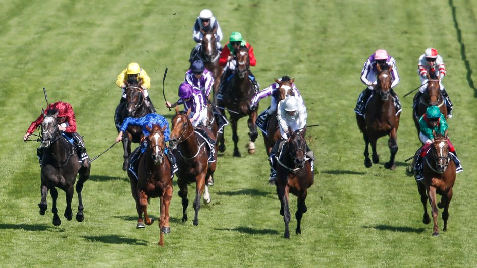 The Derby field chase home Masar