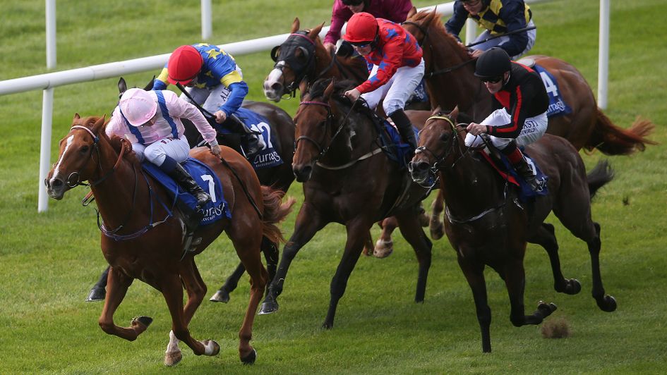 Shanghai Glory pictured winning at the Curragh