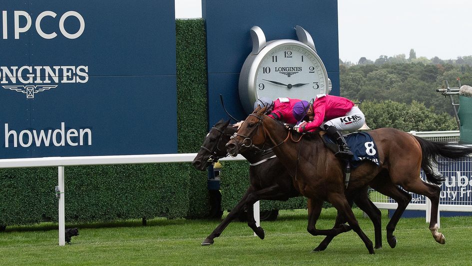 Expect some more tight finishes at the Shergar Cup