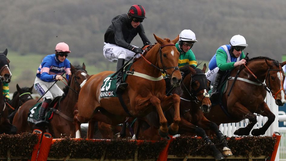 Jaleo goes novice chasing