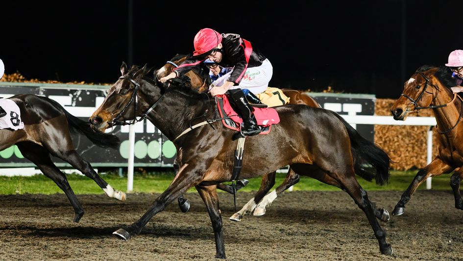 Lovealot Bear wins at Kempton