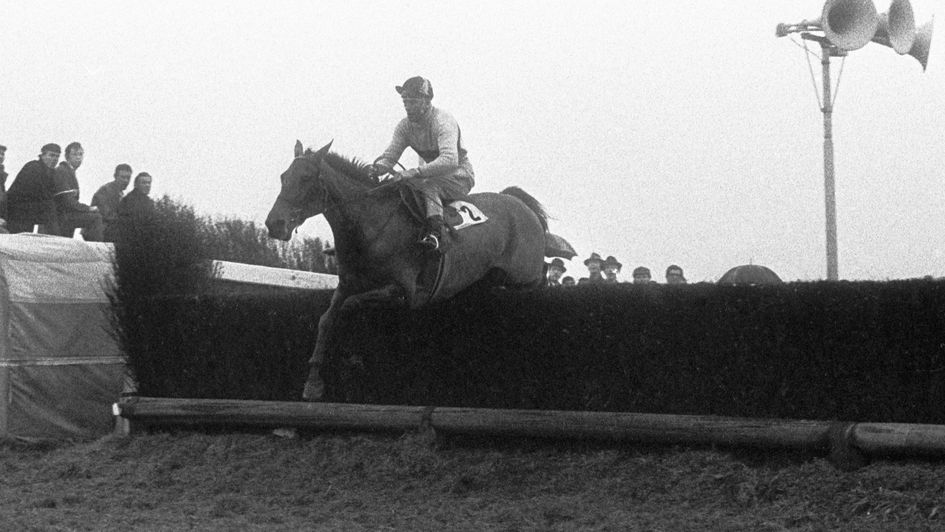 Arkle - greatest chaser of all time