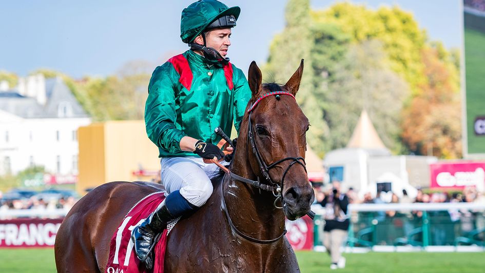 Daryz is back in action on Thursday evening
