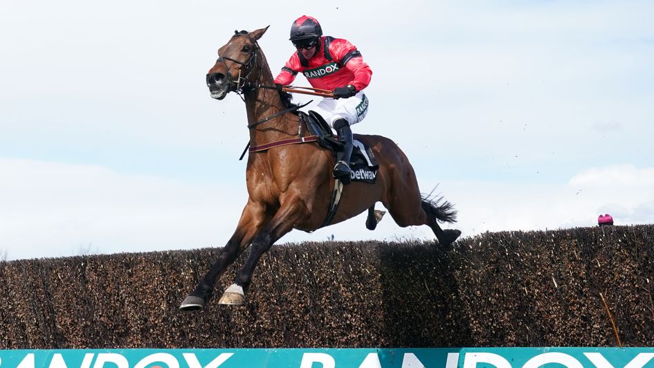 Ahoy Senor flies over the last at Aintree