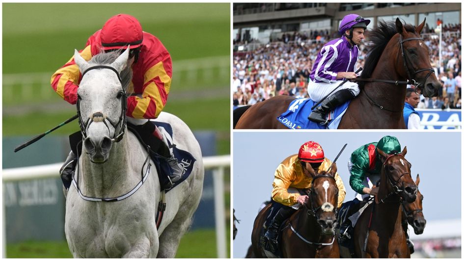 Some of the leading contenders at Leopardstown on Saturday