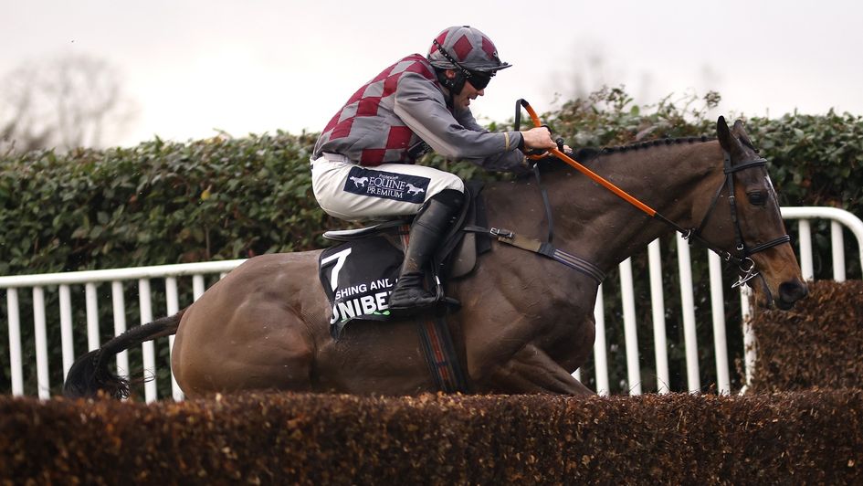 Wishing And Hoping was a shock winner at Sandown