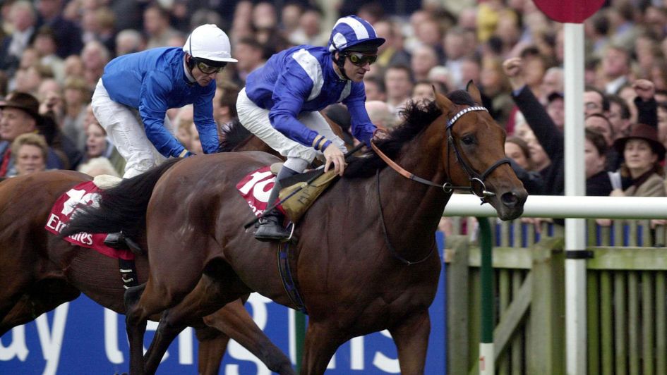 Nayef wins the Champion Stakes