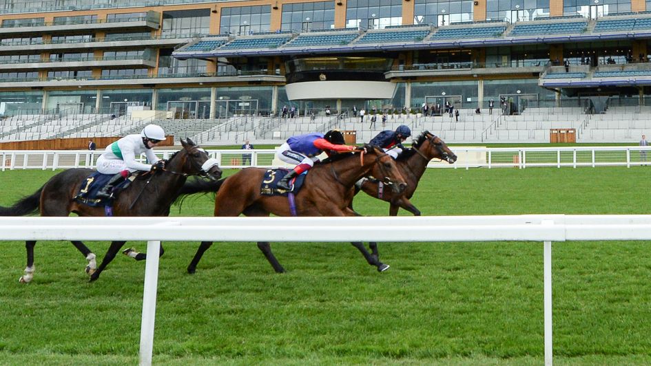 Russian Emperor (far side) gets the better of First Receiver