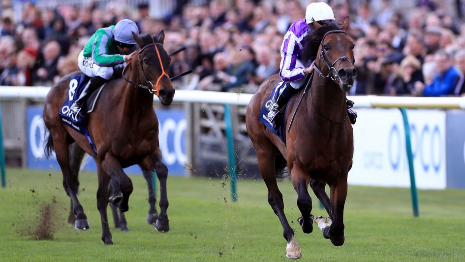 Magna Grecia is clear in the QIPCO 2000 Guineas