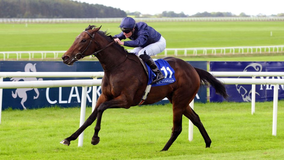 Santa Barbara bids to get back on track in the Pretty Polly Stakes