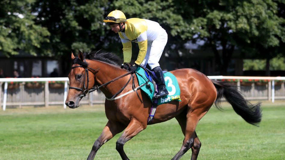 Staxton: Well-backed winner of the Great St Wilfrid