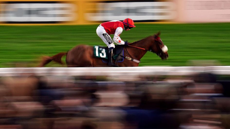 Queens Gamble winning at Cheltenham