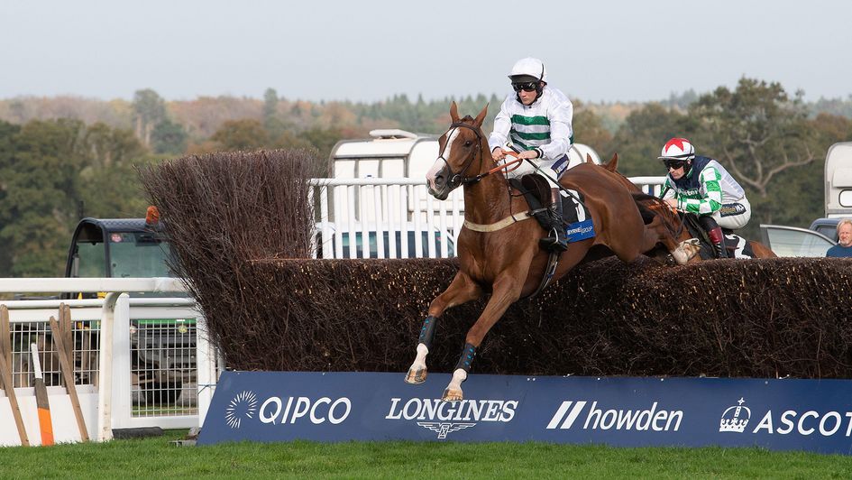 Will the well-treated Nassalam see out the Welsh National trip?