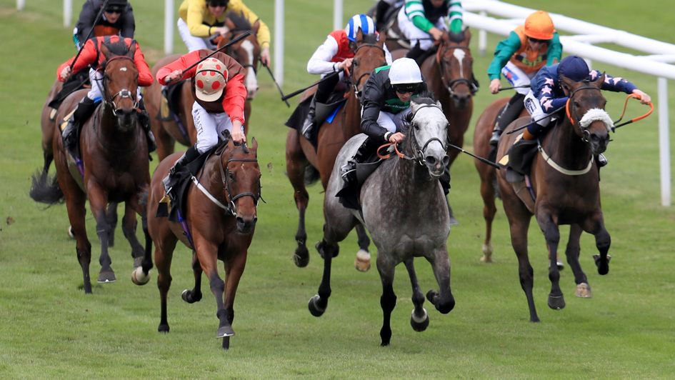 Gunmetal - won the Great St Wilfrid