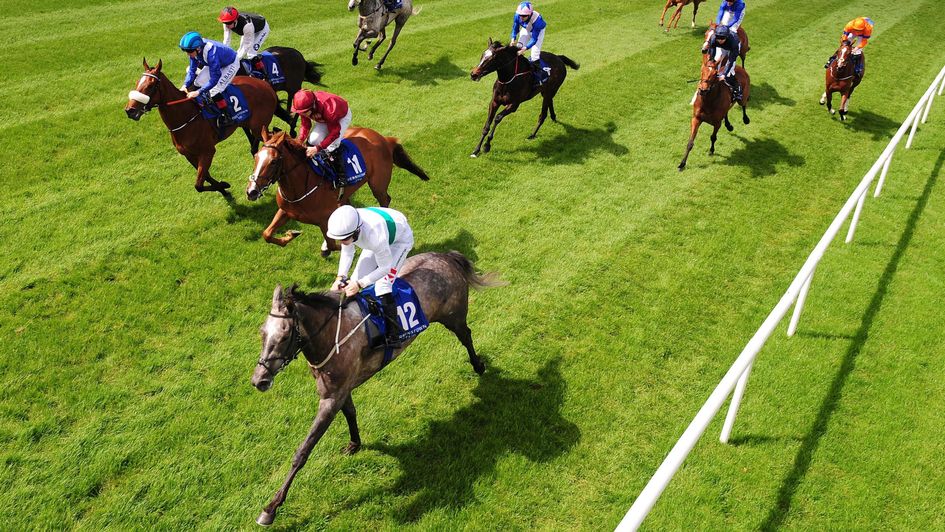 Who's Steph wins the Leopardstown 1000 Trial